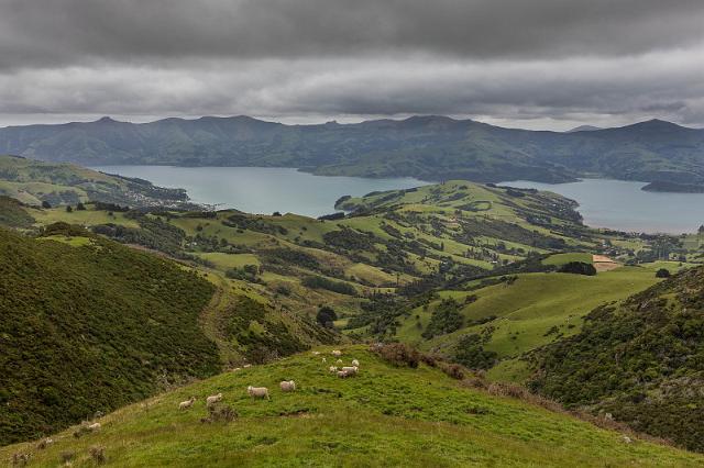 009 Akaroa.jpg